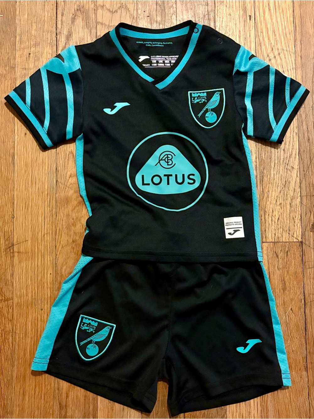 Toddler Norwich City 2021-2022 Away Kit Black & Teal Soccer Kit | Size 18 Months